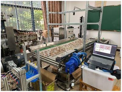 Rapid and accurate detection of multi-target walnut appearance quality based on the lightweight improved YOLOv5s_AMM model